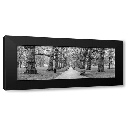 Avenue of trees, Green Park, London, FTBR-1839 Black Modern Wood Framed Art Print with Double Matting by Frank, Assaf