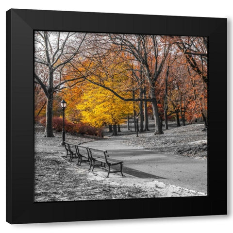 AF20131120 New York 1775C03 Black Modern Wood Framed Art Print by Frank, Assaf