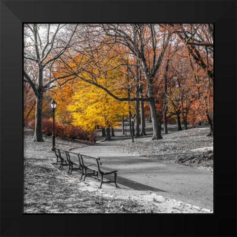 AF20131120 New York 1775C03 Black Modern Wood Framed Art Print by Frank, Assaf