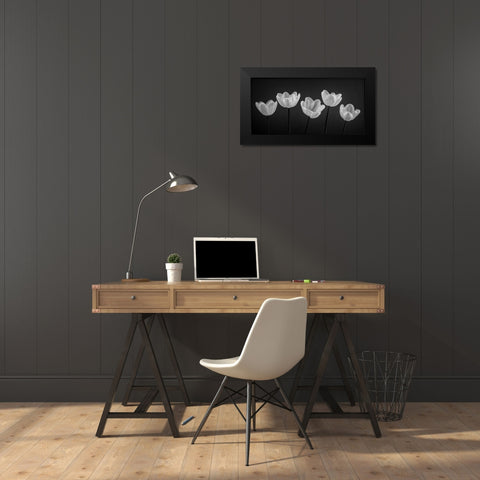 Five Tulips in a row Black Modern Wood Framed Art Print by Frank, Assaf