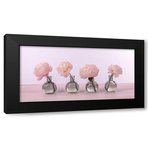 Peonies in glass bottles Black Modern Wood Framed Art Print with Double Matting by Frank, Assaf
