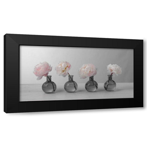 Peonies in glass bottles Black Modern Wood Framed Art Print with Double Matting by Frank, Assaf