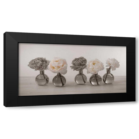 Peonies in glass bottles Black Modern Wood Framed Art Print by Frank, Assaf