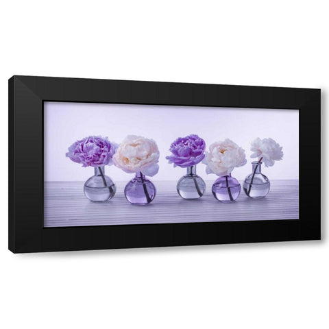 Peonies in glass bottles Black Modern Wood Framed Art Print with Double Matting by Frank, Assaf