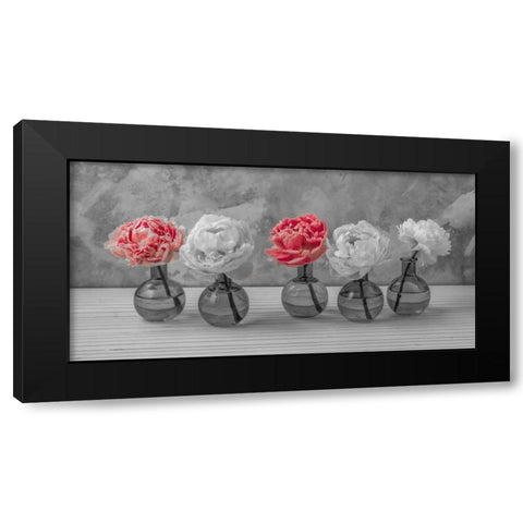 Peonies in glass bottles Black Modern Wood Framed Art Print with Double Matting by Frank, Assaf