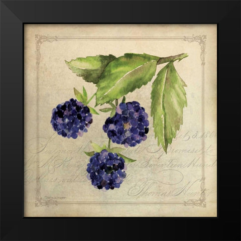 Blackberry Collage Black Modern Wood Framed Art Print by Marrott, Stephanie