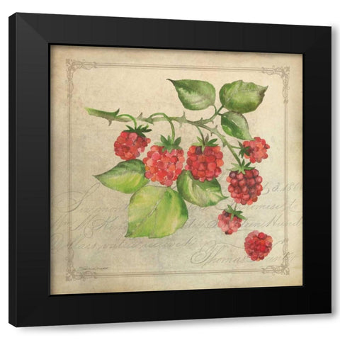 Rasberry Collage Black Modern Wood Framed Art Print with Double Matting by Marrott, Stephanie