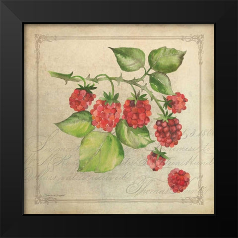 Rasberry Collage Black Modern Wood Framed Art Print by Marrott, Stephanie