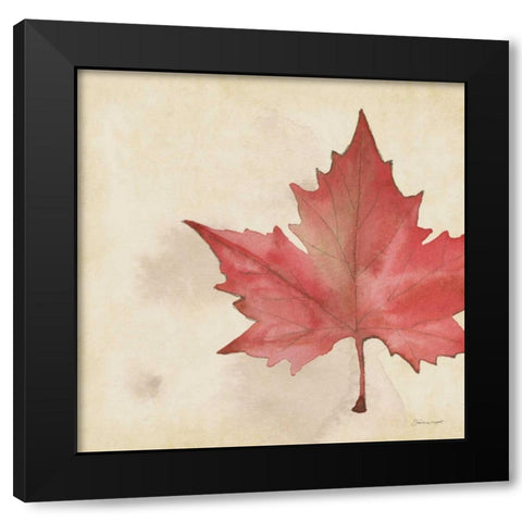 Maple In Fall Black Modern Wood Framed Art Print with Double Matting by Marrott, Stephanie