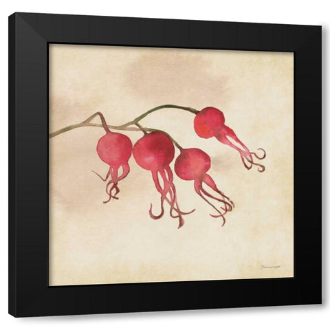 Rose Hips In Fall Black Modern Wood Framed Art Print with Double Matting by Marrott, Stephanie