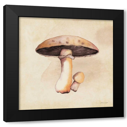 Mushrooms In Fall Black Modern Wood Framed Art Print with Double Matting by Marrott, Stephanie