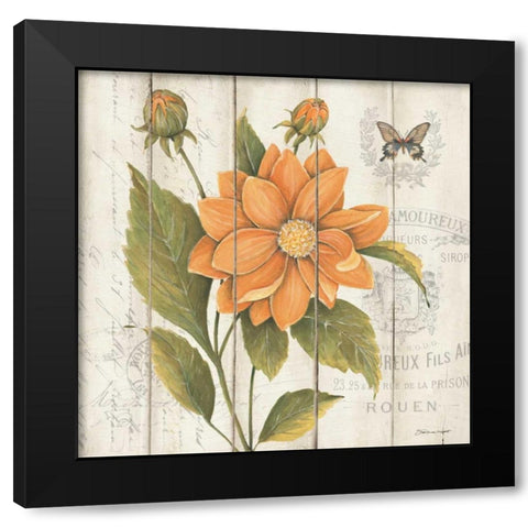 Victorian Dahlia Black Modern Wood Framed Art Print by Marrott, Stephanie