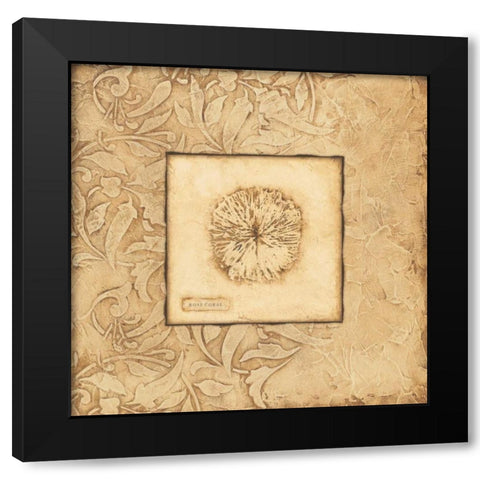 Rose Coral Black Modern Wood Framed Art Print with Double Matting by Marrott, Stephanie