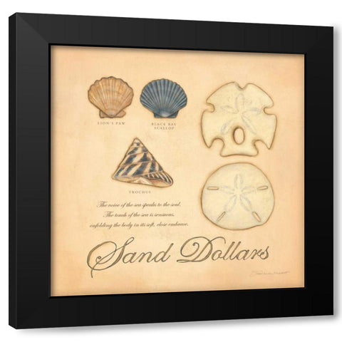 Sand Dollars Black Modern Wood Framed Art Print with Double Matting by Marrott, Stephanie