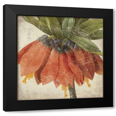 Orange Flower Black Modern Wood Framed Art Print with Double Matting by Marrott, Stephanie