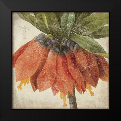 Orange Flower Black Modern Wood Framed Art Print by Marrott, Stephanie
