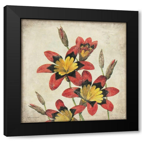 Red Lily Flower Black Modern Wood Framed Art Print by Marrott, Stephanie