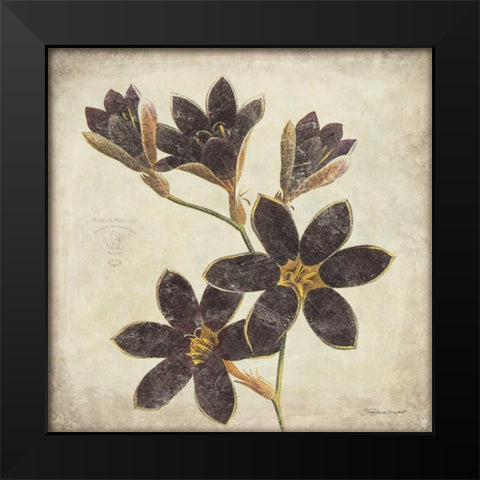Purple Flower Black Modern Wood Framed Art Print by Marrott, Stephanie