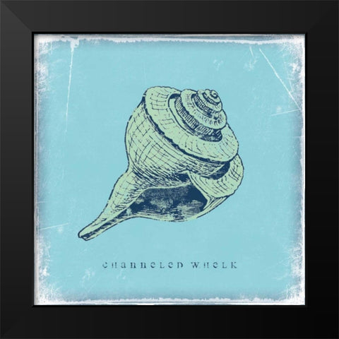 Whelk Black Modern Wood Framed Art Print by Marrott, Stephanie