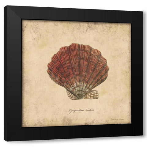 Shells II Black Modern Wood Framed Art Print by Marrott, Stephanie