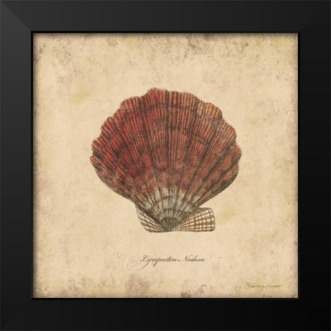 Shells II Black Modern Wood Framed Art Print by Marrott, Stephanie