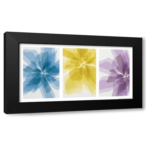 Three Xray Flowers Black Modern Wood Framed Art Print with Double Matting by Brando, JJ