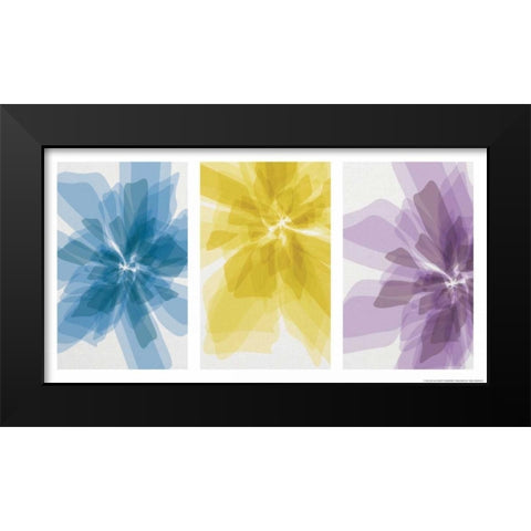 Three Xray Flowers Black Modern Wood Framed Art Print by Brando, JJ