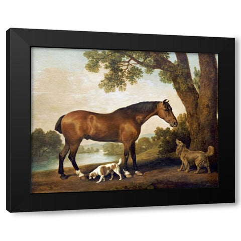 A Bay Hunter, a Springer Spaniel and a Sussex Spaniel, 1782 Black Modern Wood Framed Art Print by Stubbs, George