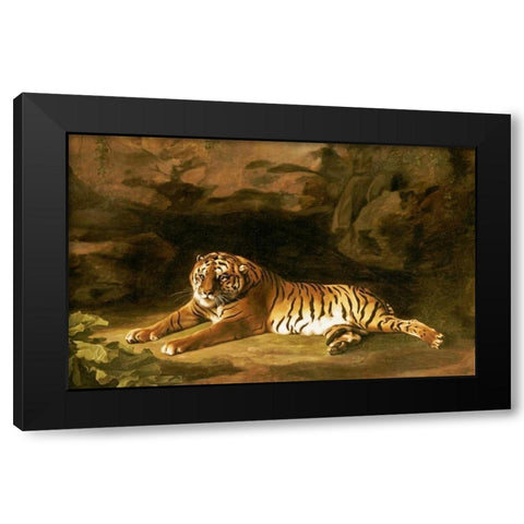 Portrait of The Royal Tiger Black Modern Wood Framed Art Print with Double Matting by Stubbs, George