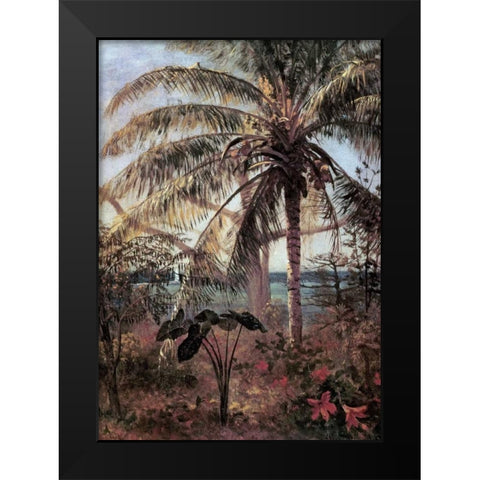 Palm Tree, Nassau Black Modern Wood Framed Art Print by Bierstadt, Albert