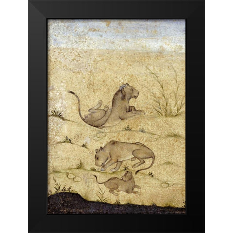 A Family of Lions Black Modern Wood Framed Art Print by Mughal