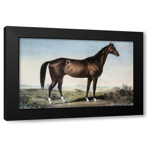 Celebrated Horse Lexington Black Modern Wood Framed Art Print with Double Matting by Currier and Ives