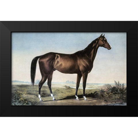 Celebrated Horse Lexington Black Modern Wood Framed Art Print by Currier and Ives