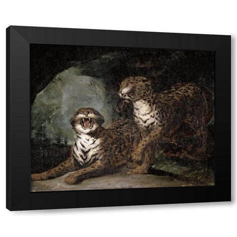 Two Leopards Black Modern Wood Framed Art Print by Gericault, Theodore
