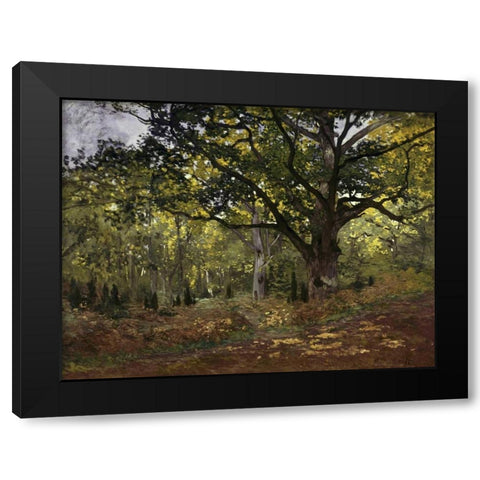 Bodmer Oak, Fontainebleau Forest, 1865 Black Modern Wood Framed Art Print by Monet, Claude