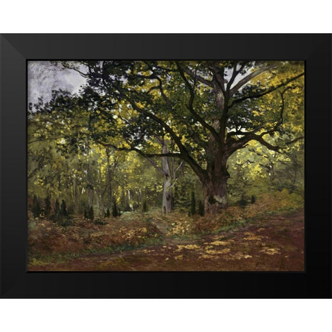 Bodmer Oak, Fontainebleau Forest, 1865 Black Modern Wood Framed Art Print by Monet, Claude