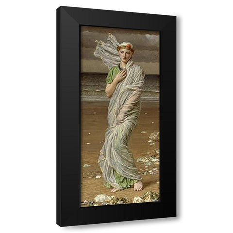 Sea Shells Black Modern Wood Framed Art Print by Moore, Albert Joseph