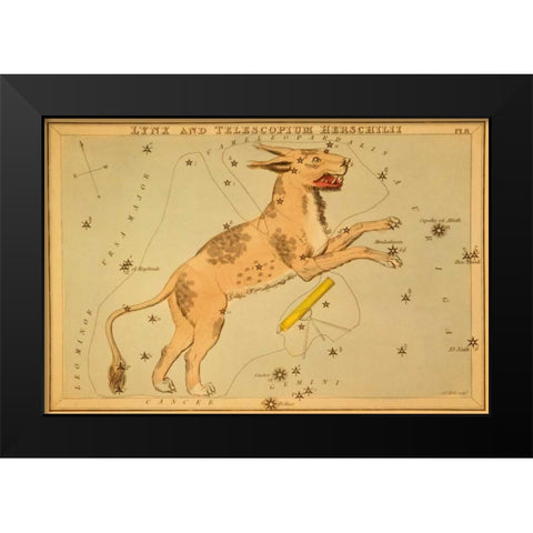 Lynx and Telescopium Herschilii, 1825 Black Modern Wood Framed Art Print by Aspin, Jehoshaphat