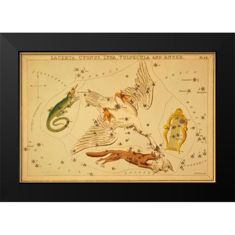 Lacerta, Cygnus, Lyra, Vulpecula and Anser, 1825 Black Modern Wood Framed Art Print by Aspin, Jehoshaphat