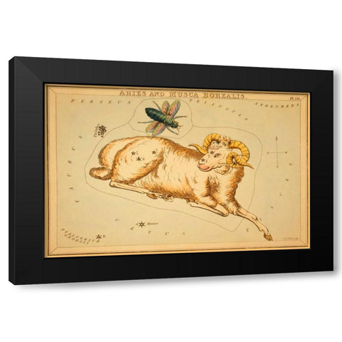 Aries and Musca Borealis, 1825 Black Modern Wood Framed Art Print by Aspin, Jehoshaphat