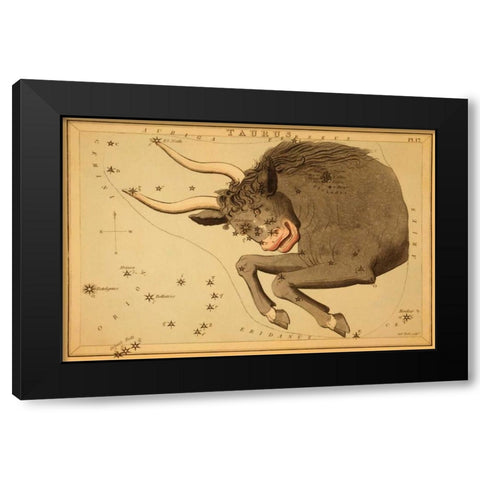 Taurus the Bull, 1825 Black Modern Wood Framed Art Print by Aspin, Jehoshaphat