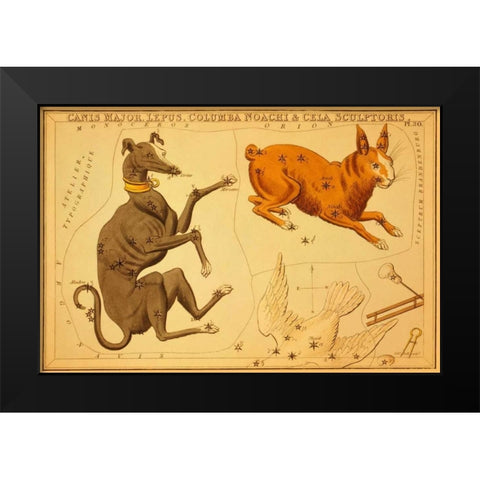 Canis Major, Lepus, Columba Noachi and Cela Sculptoris, 1825 Black Modern Wood Framed Art Print by Aspin, Jehoshaphat