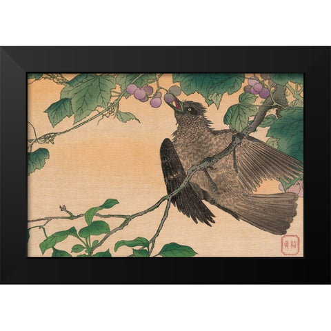 Bird Eating a Grape Black Modern Wood Framed Art Print by Kesai, Kuwagata