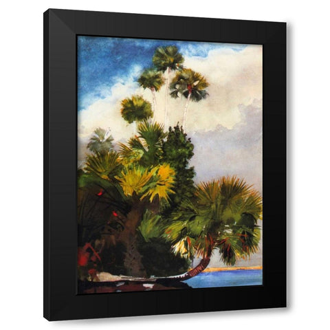 Palm Trees Florida Black Modern Wood Framed Art Print with Double Matting by Homer, Winslow