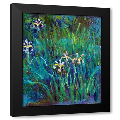 Irises 1914-1917 Black Modern Wood Framed Art Print with Double Matting by Monet, Claude