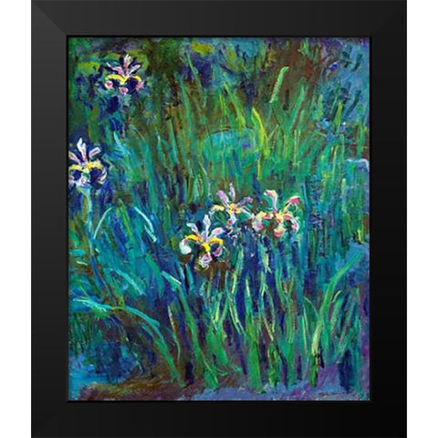 Irises 1914-1917 Black Modern Wood Framed Art Print by Monet, Claude