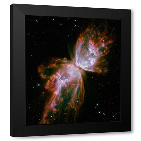 Butterfly Nebula Black Modern Wood Framed Art Print with Double Matting by NASA