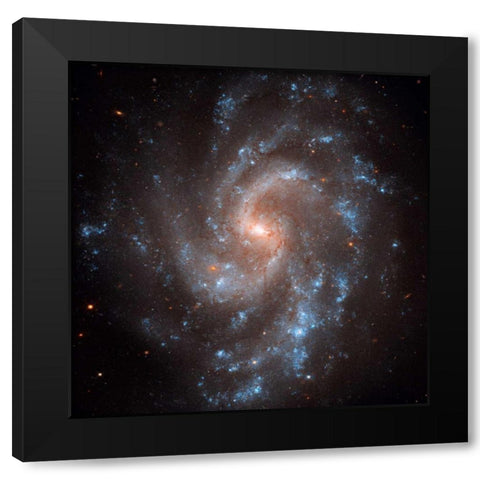 NGC 5584 Black Modern Wood Framed Art Print with Double Matting by NASA