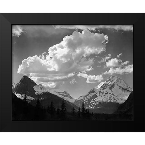 Trees in Glacier National Park, Montana - National Parks and Monuments, 1941 Black Modern Wood Framed Art Print by Adams, Ansel