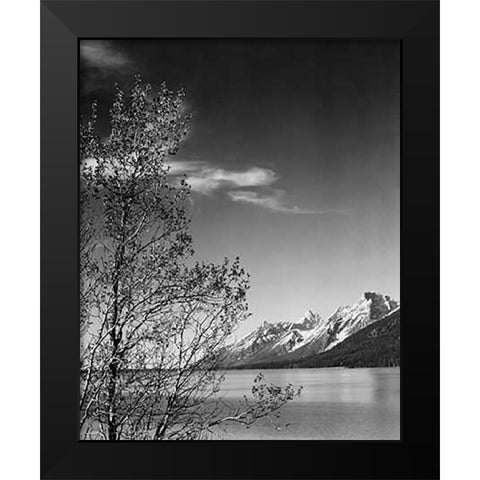 View of mountains with tree in foreground, Grand Teton National Park, Wyoming, 1941 Black Modern Wood Framed Art Print by Adams, Ansel